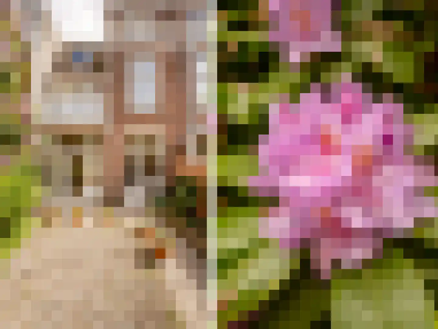 Ten Hovestraat 81 Den Haag thumbnail 26