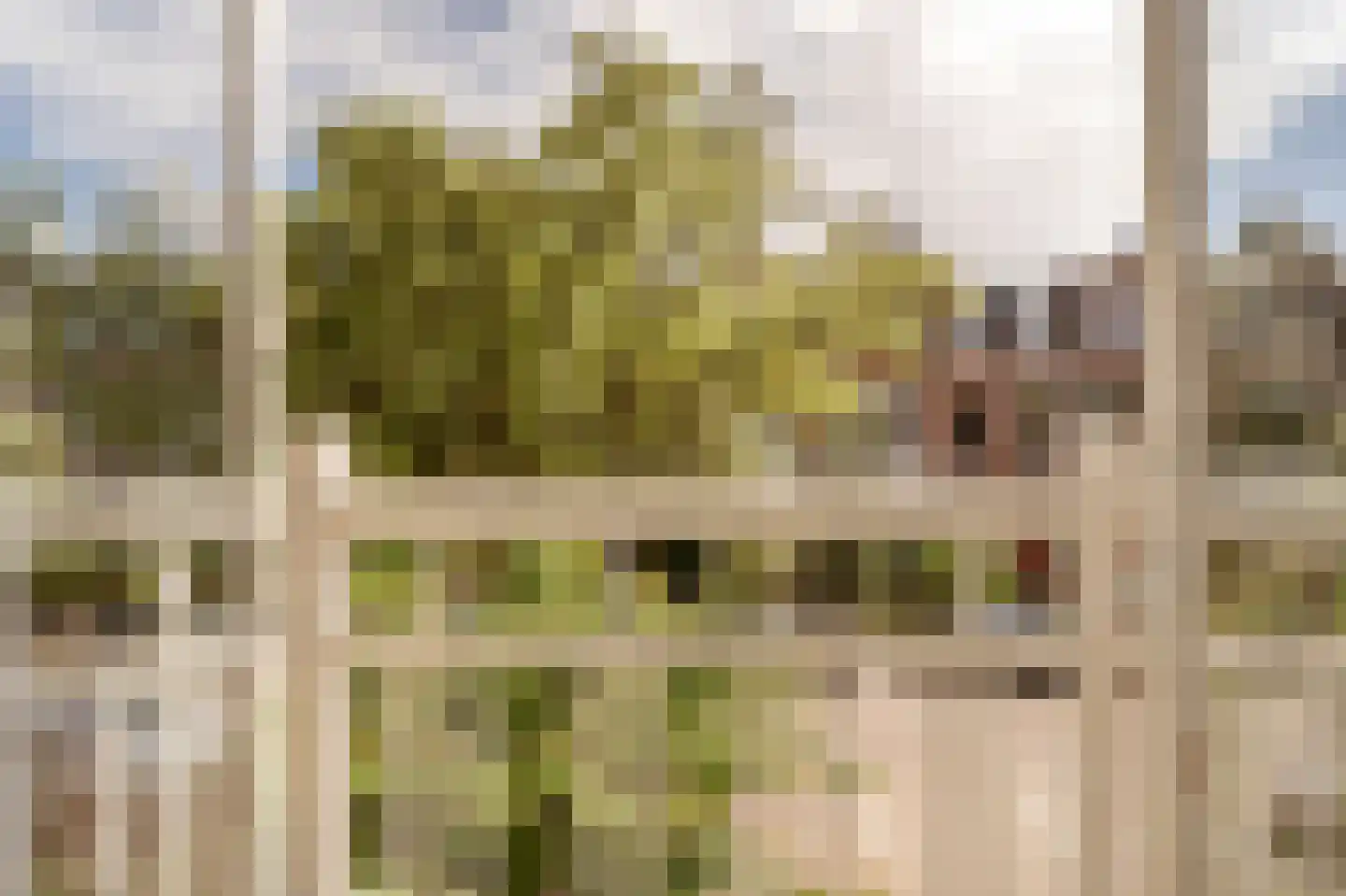 Ten Hovestraat 81 Den Haag thumbnail 41