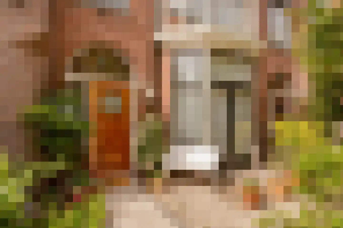 Ten Hovestraat 81 Den Haag thumbnail 5