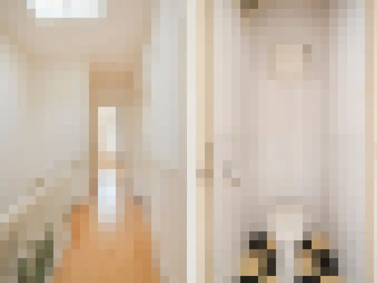 Ten Hovestraat 81 Den Haag thumbnail 50