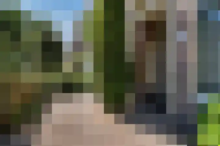 Ten Hovestraat 83 Den Haag thumbnail 5