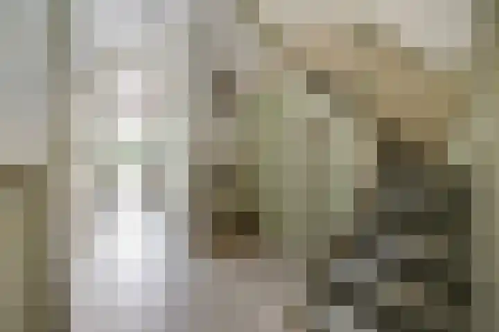 Ten Hovestraat 83 Den Haag thumbnail 6