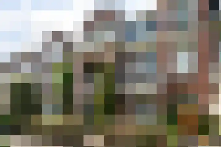 Ten Hovestraat 83 Den Haag thumbnail 66