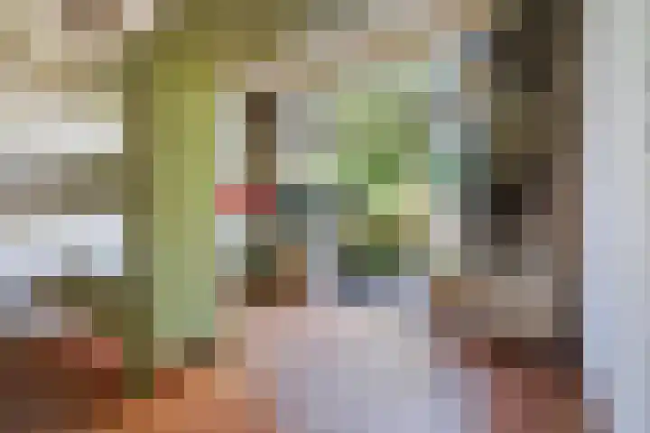 Ten Hovestraat 83 Den Haag thumbnail 8