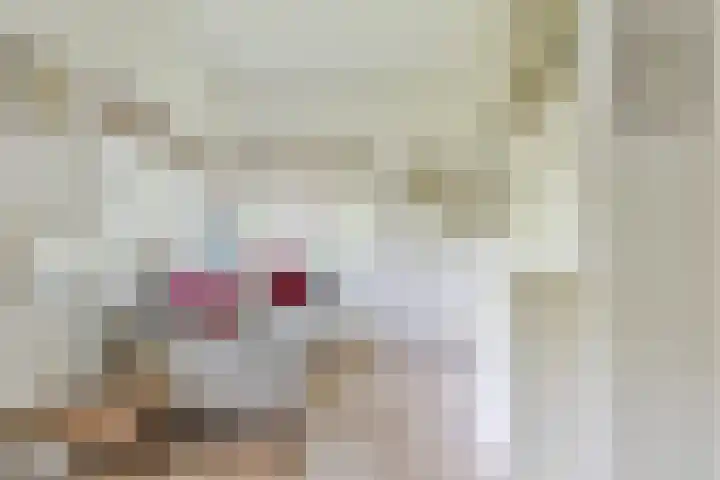 Ten Katelaan 2 Hilversum thumbnail 11