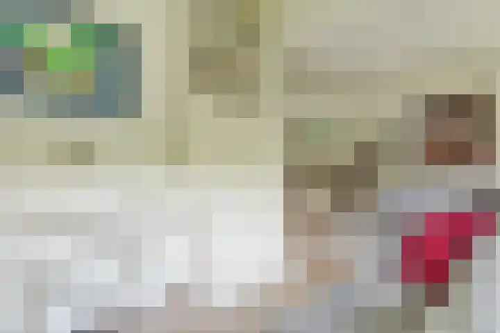 Ten Katelaan 2 Hilversum thumbnail 12