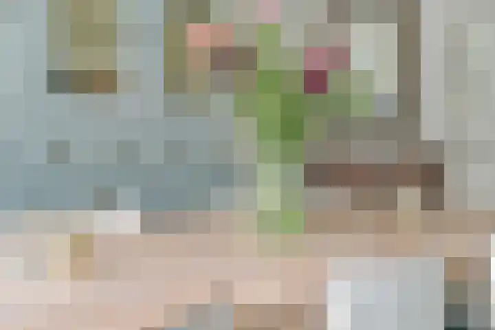 Ten Katelaan 2 Hilversum thumbnail 18
