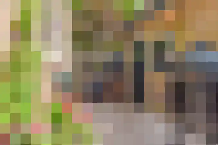 Ten Katelaan 2 Hilversum thumbnail 26