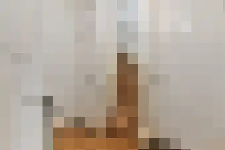 Ten Katelaan 2 Hilversum thumbnail 27