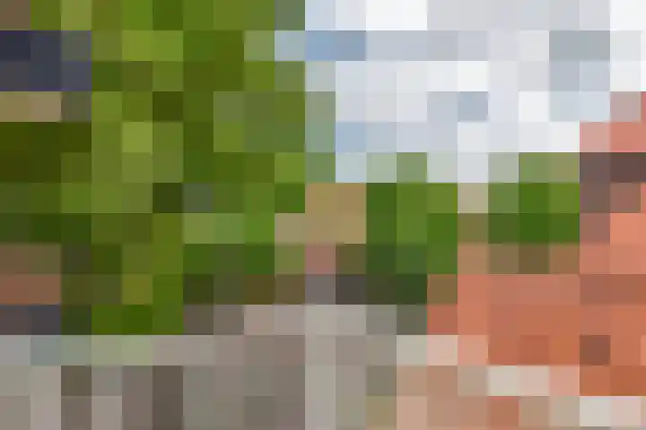 Ten Katelaan 2 Hilversum thumbnail 38