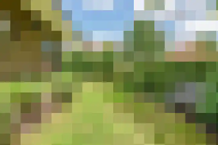 Ten Katelaan 2 Hilversum thumbnail 4