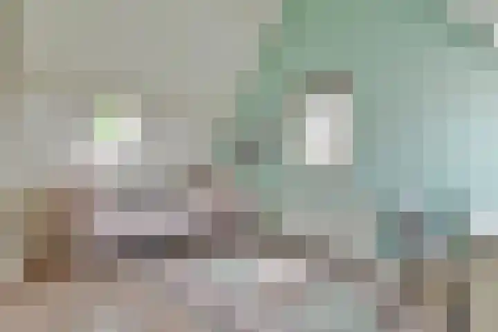 Ten Katelaan 2 Hilversum thumbnail 42