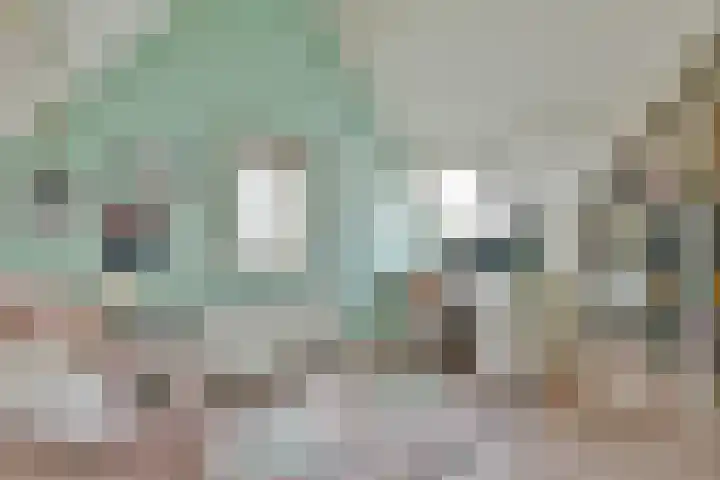 Ten Katelaan 2 Hilversum thumbnail 43