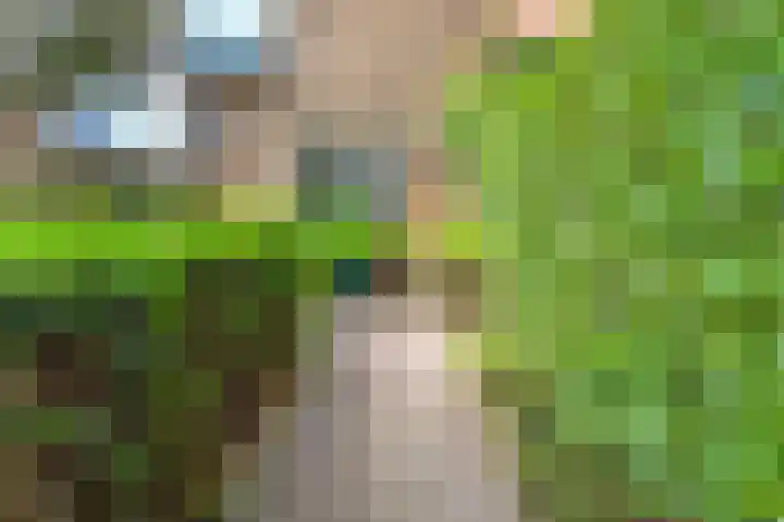 Ten Katelaan 2 Hilversum thumbnail 6