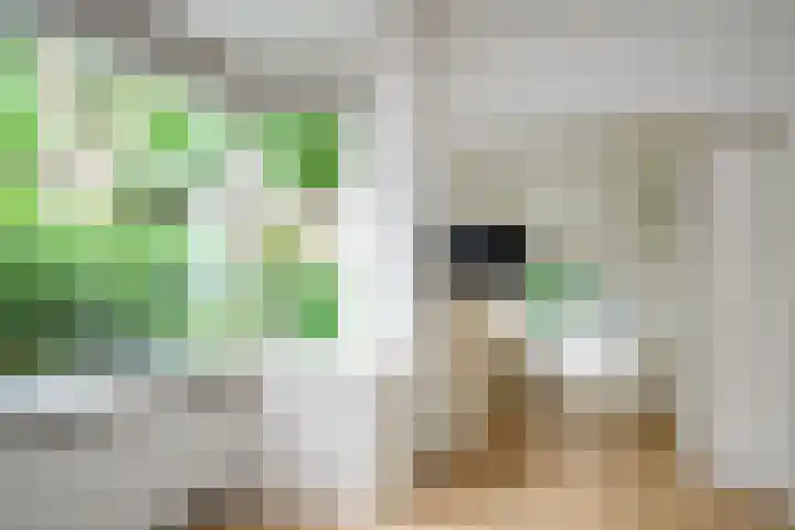 Ten Katelaan 23 Hilversum thumbnail 11