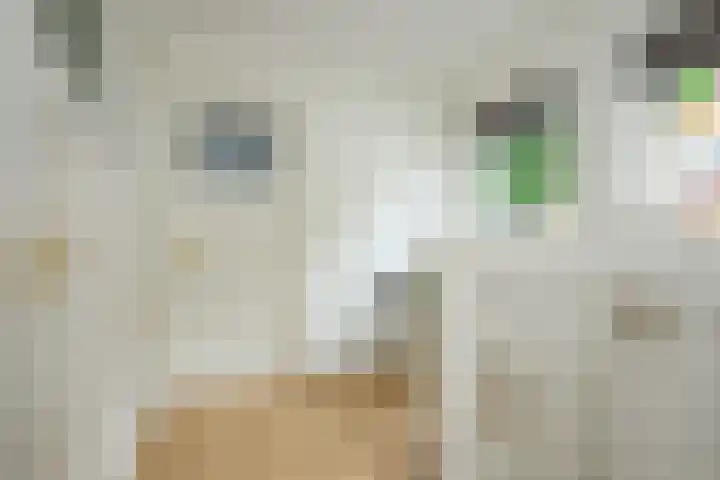 Ten Katelaan 23 Hilversum thumbnail 19