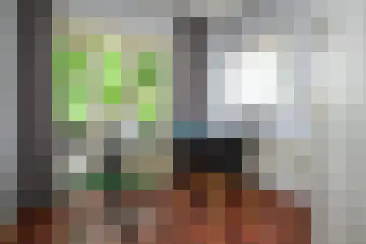 Ten Katelaan 23 Hilversum thumbnail 20