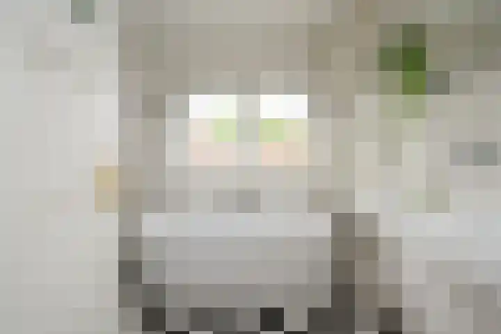 Ten Katelaan 23 Hilversum thumbnail 26