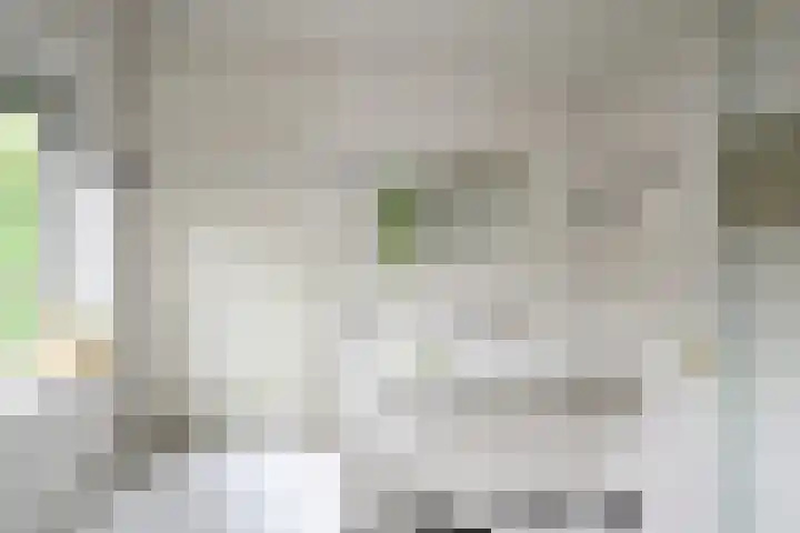 Ten Katelaan 23 Hilversum thumbnail 28