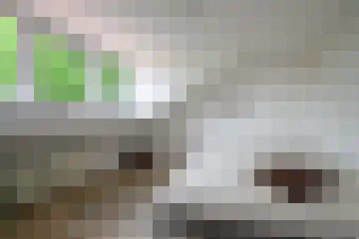Ten Katelaan 23 Hilversum thumbnail 36