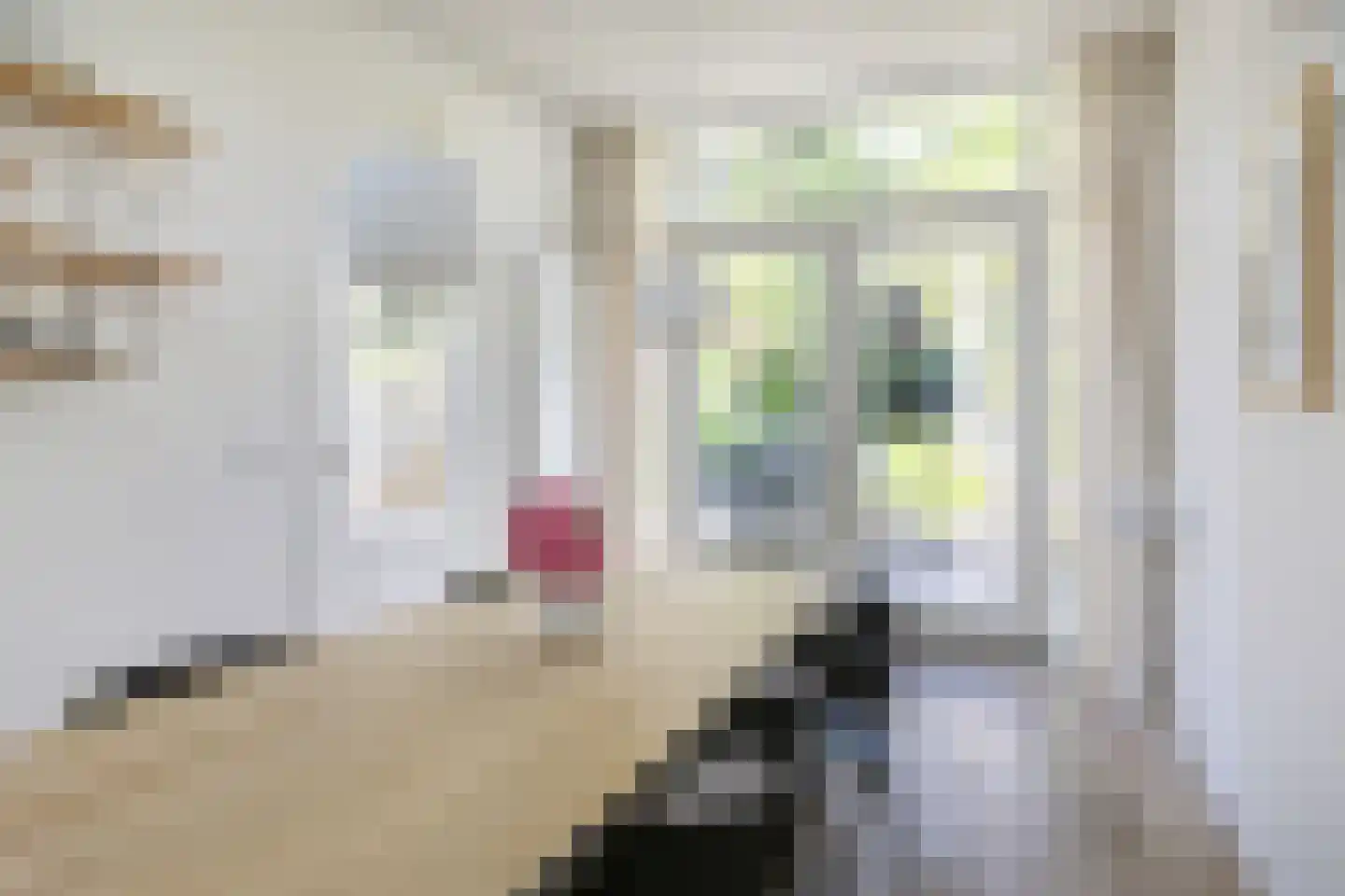 Ten Katelaan 24 Bilthoven thumbnail 13