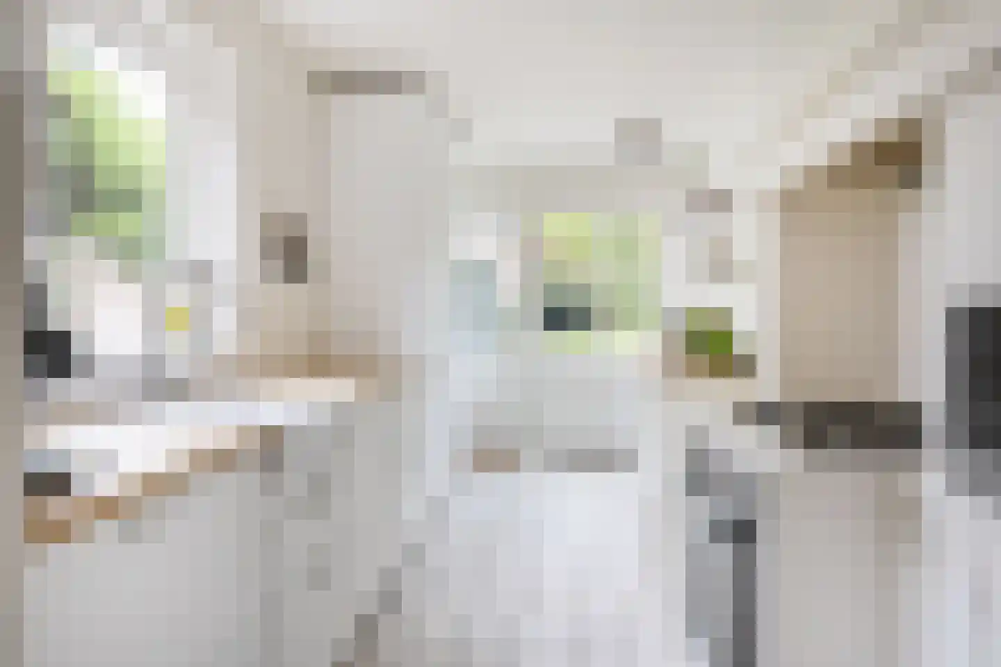 Ten Katelaan 24 Bilthoven thumbnail 18