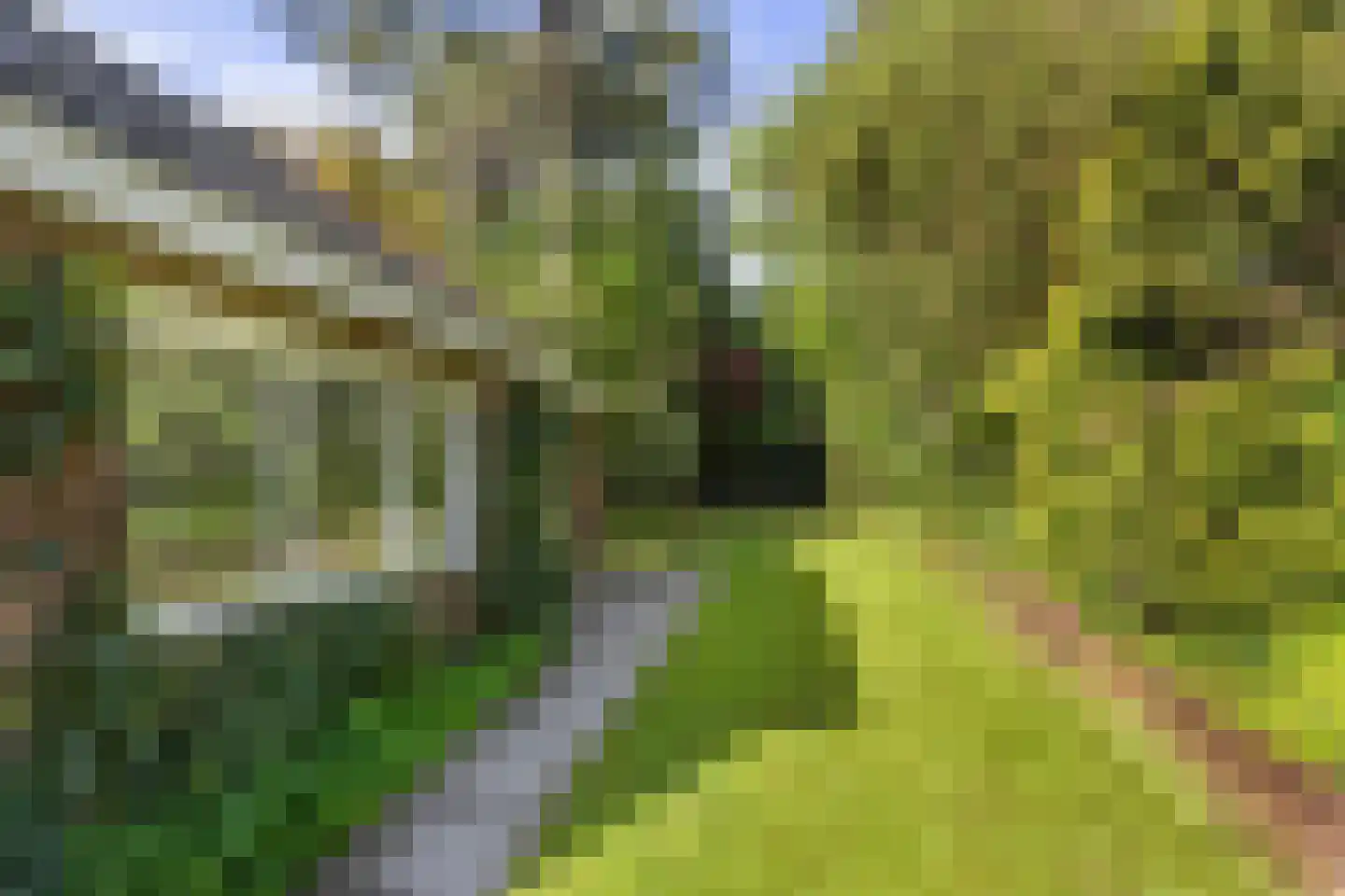 Ten Katelaan 24 Bilthoven thumbnail 38
