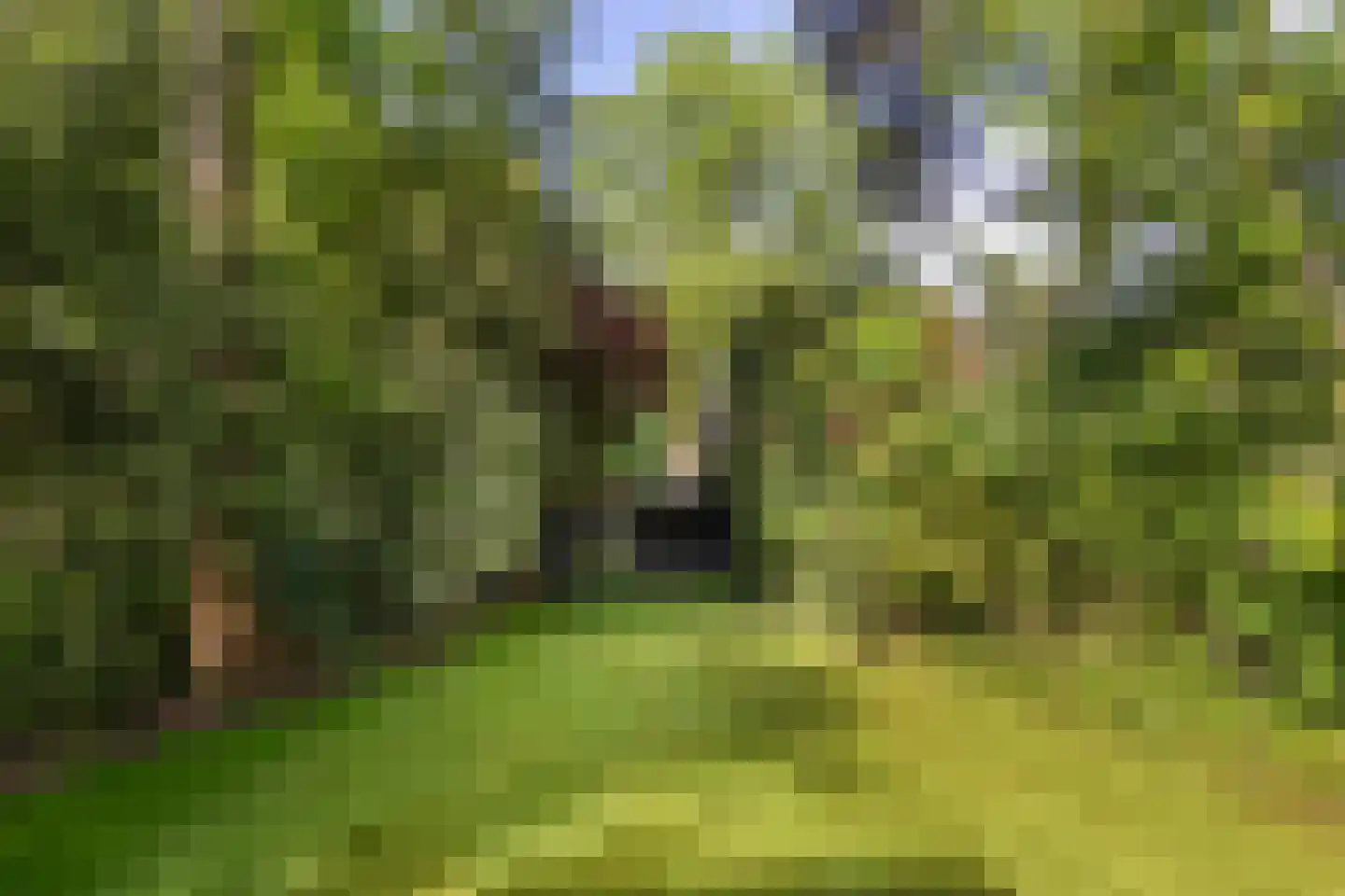 Ten Katelaan 24 Bilthoven thumbnail 39