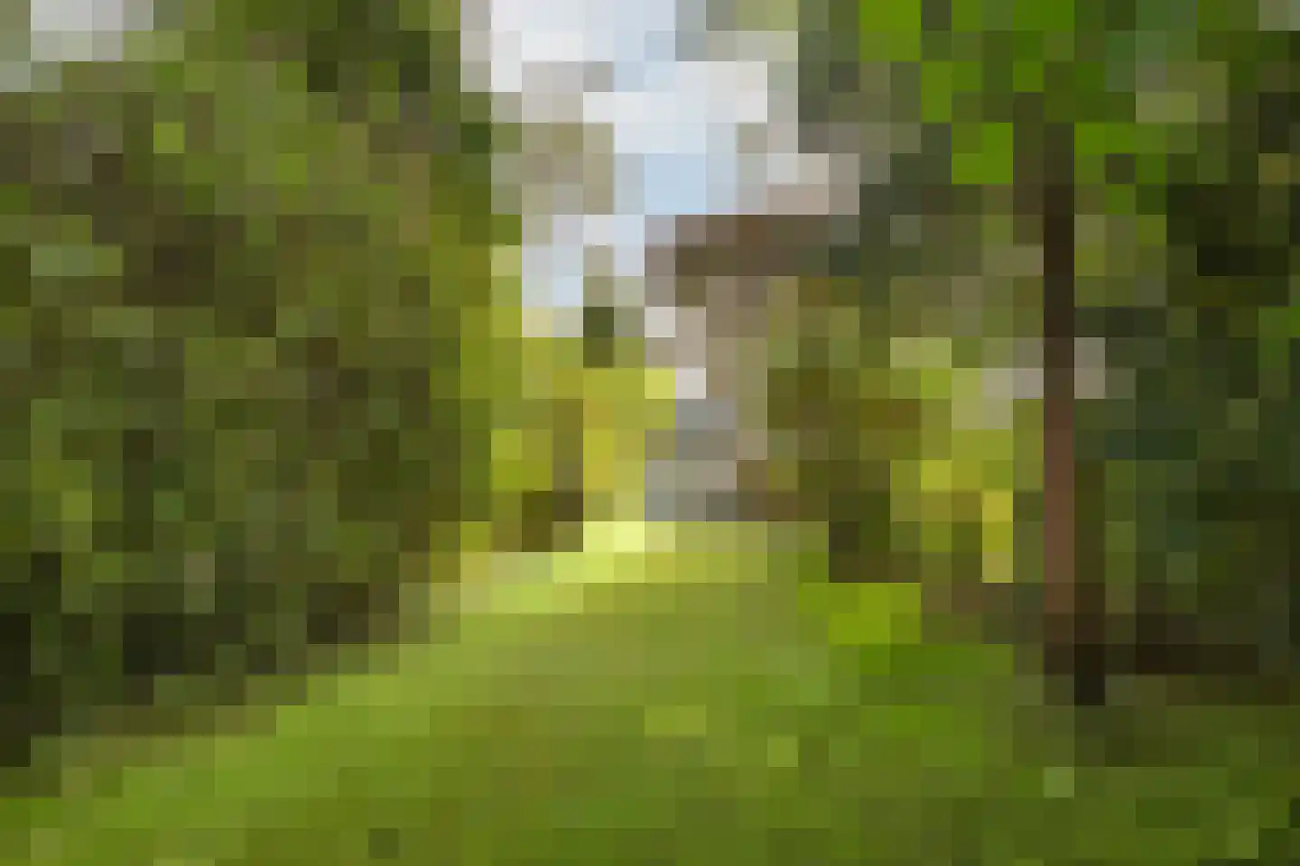 Ten Katelaan 24 Bilthoven thumbnail 42
