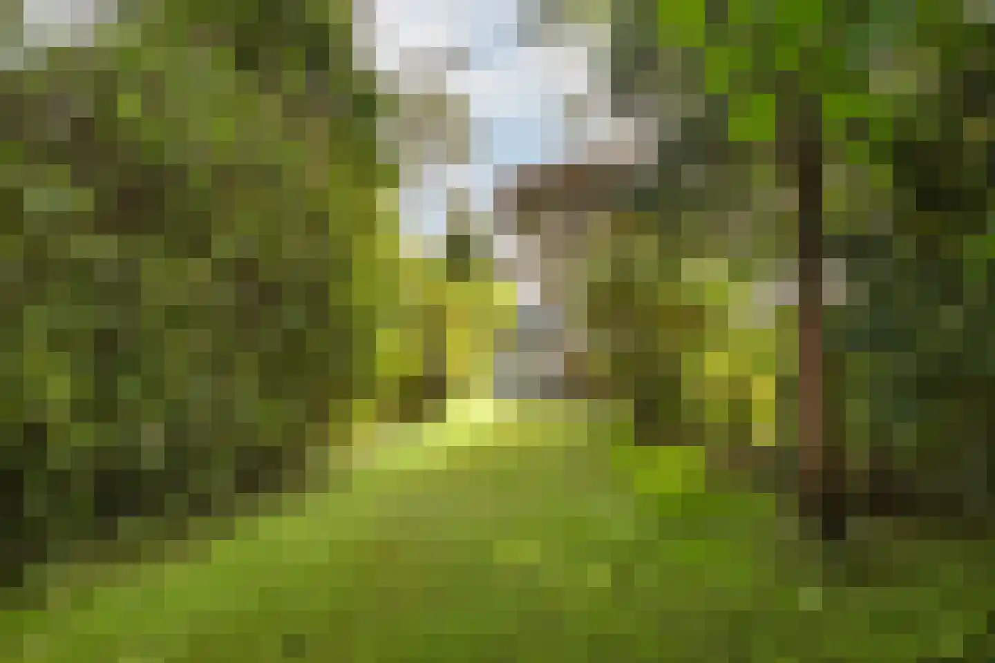 Ten Katelaan 24 Bilthoven thumbnail 43
