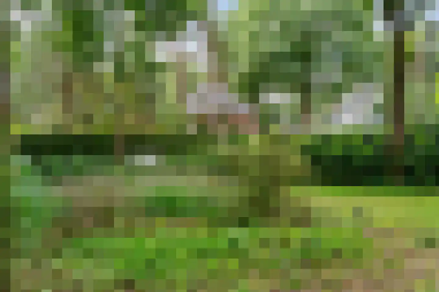 Ten Katelaan 5 Bilthoven thumbnail 37