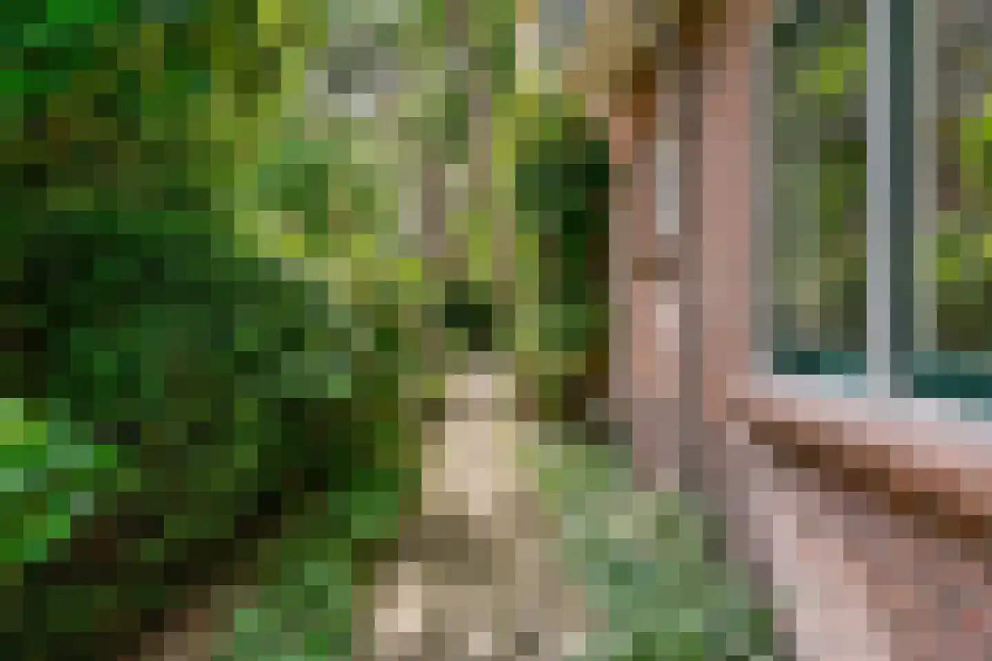 Ten Katelaan 5 Bilthoven thumbnail 45