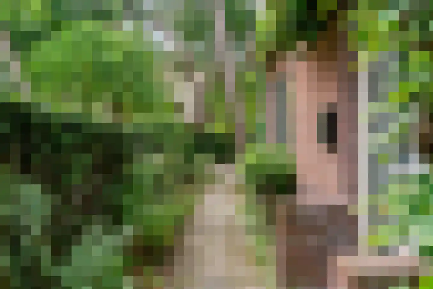 Ten Katelaan 5 Bilthoven thumbnail 48