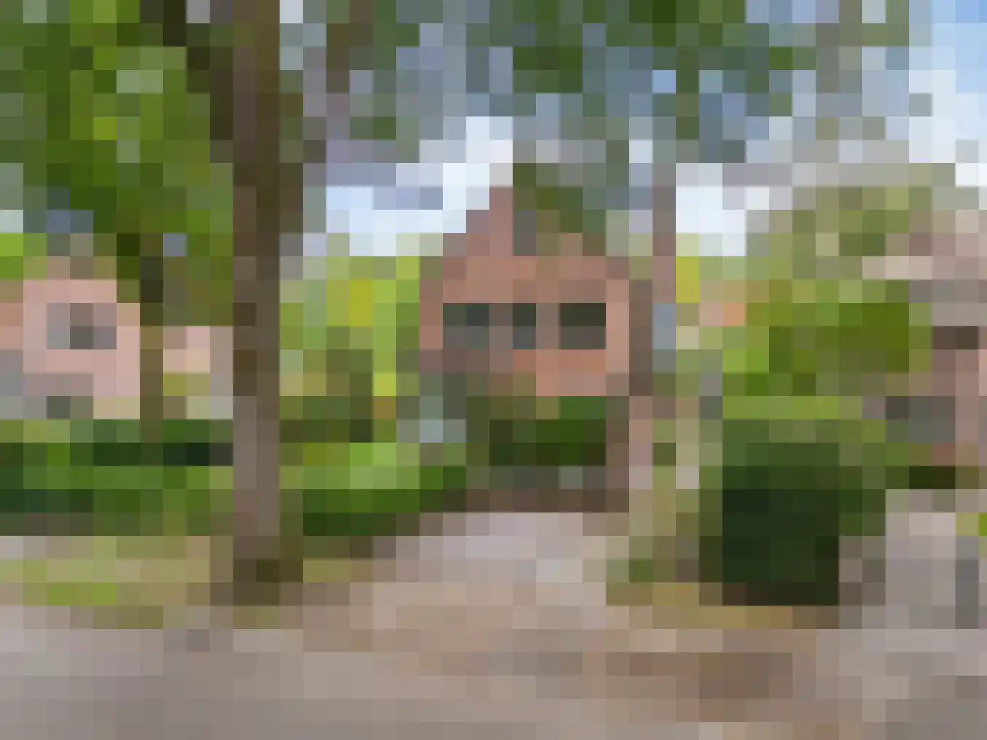 Ten Katelaan 5 Bilthoven thumbnail 49