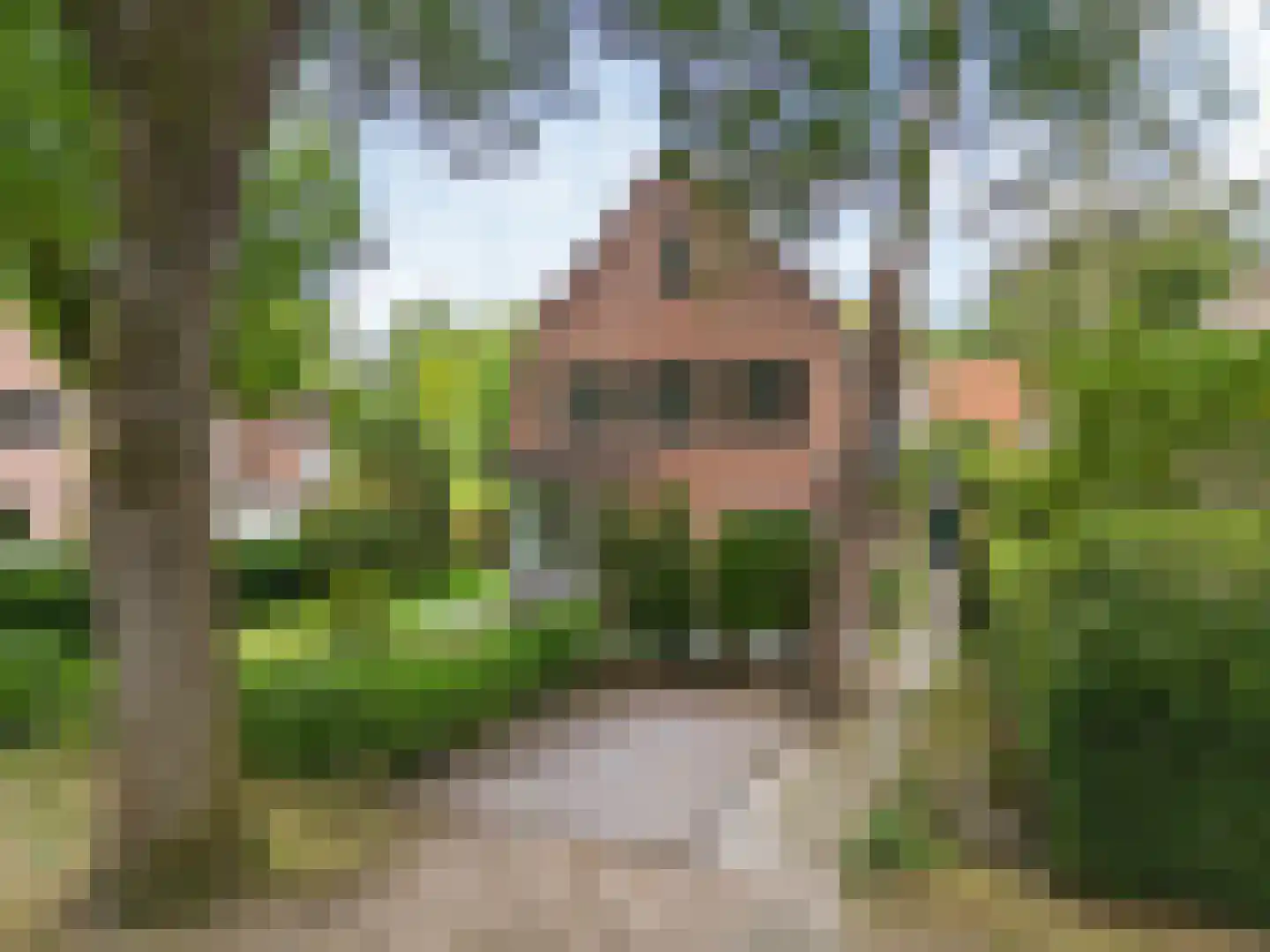 Ten Katelaan 5 Bilthoven thumbnail 5