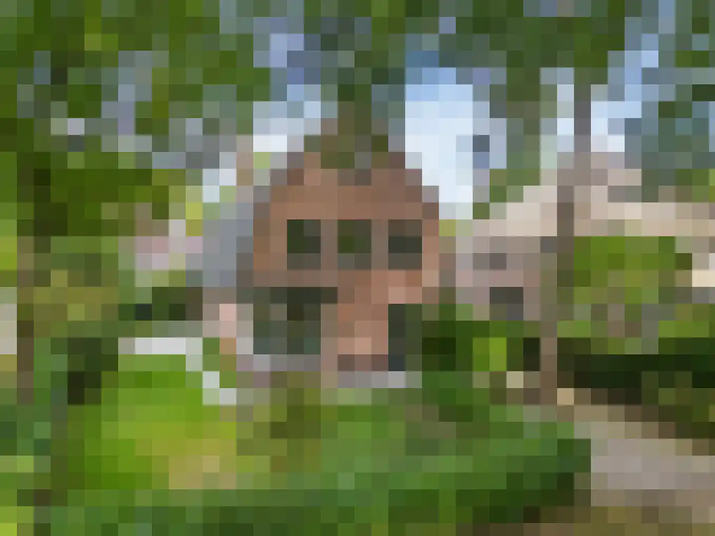 Ten Katelaan 5 Bilthoven thumbnail 50