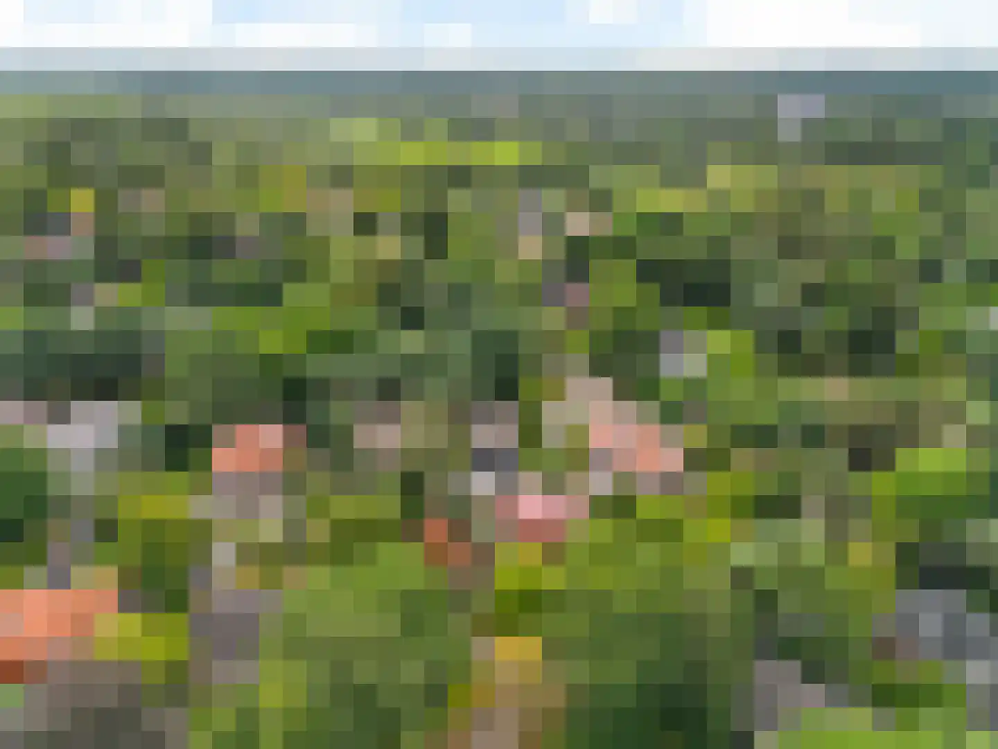 Ten Katelaan 5 Bilthoven thumbnail 51