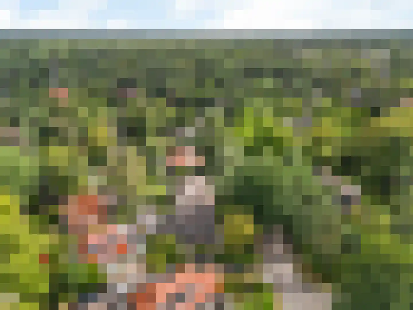 Ten Katelaan 5 Bilthoven thumbnail 52