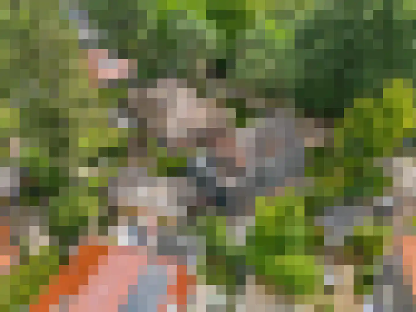 Ten Katelaan 5 Bilthoven thumbnail 54