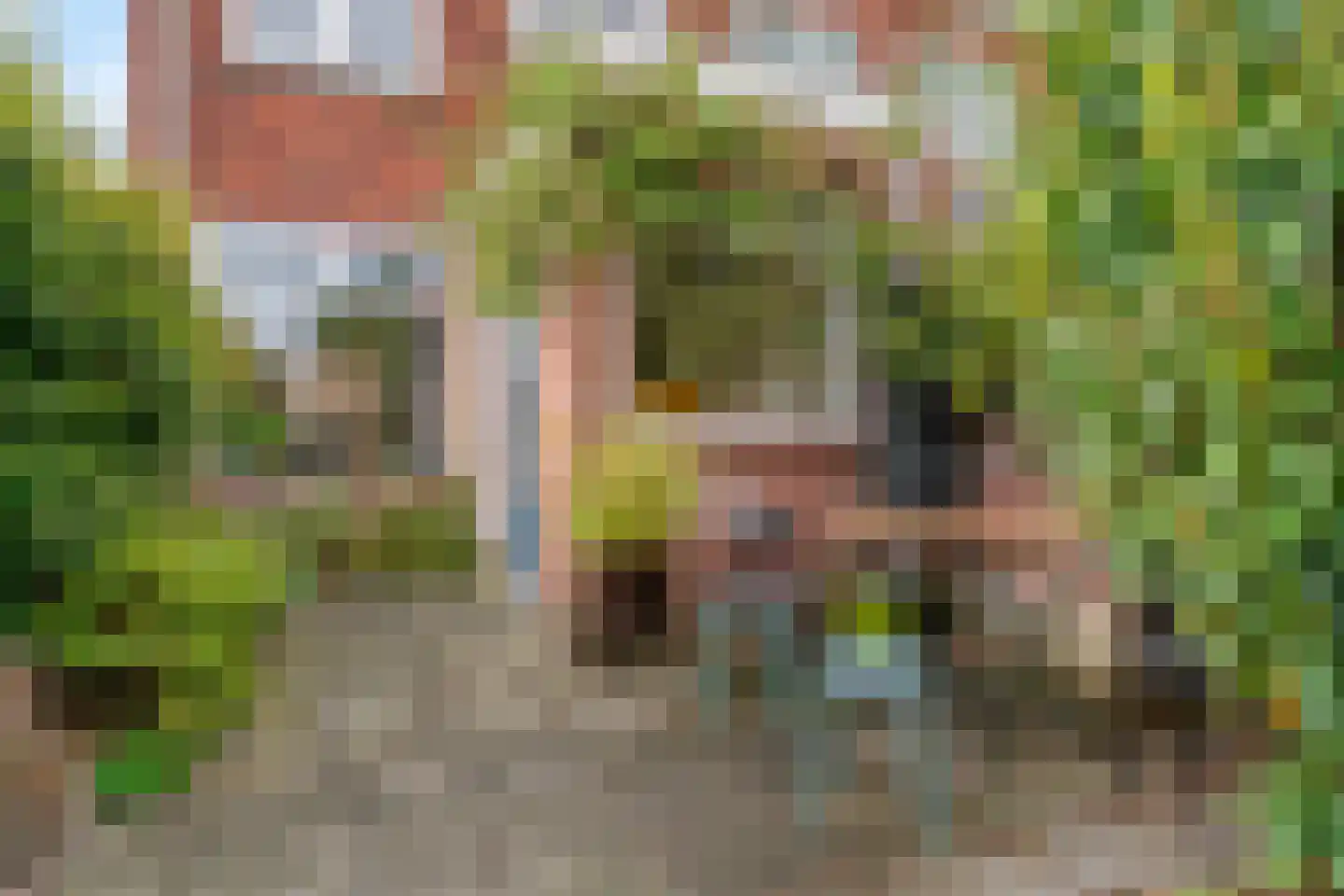 Ten Katestraat 1 Leiden thumbnail 23