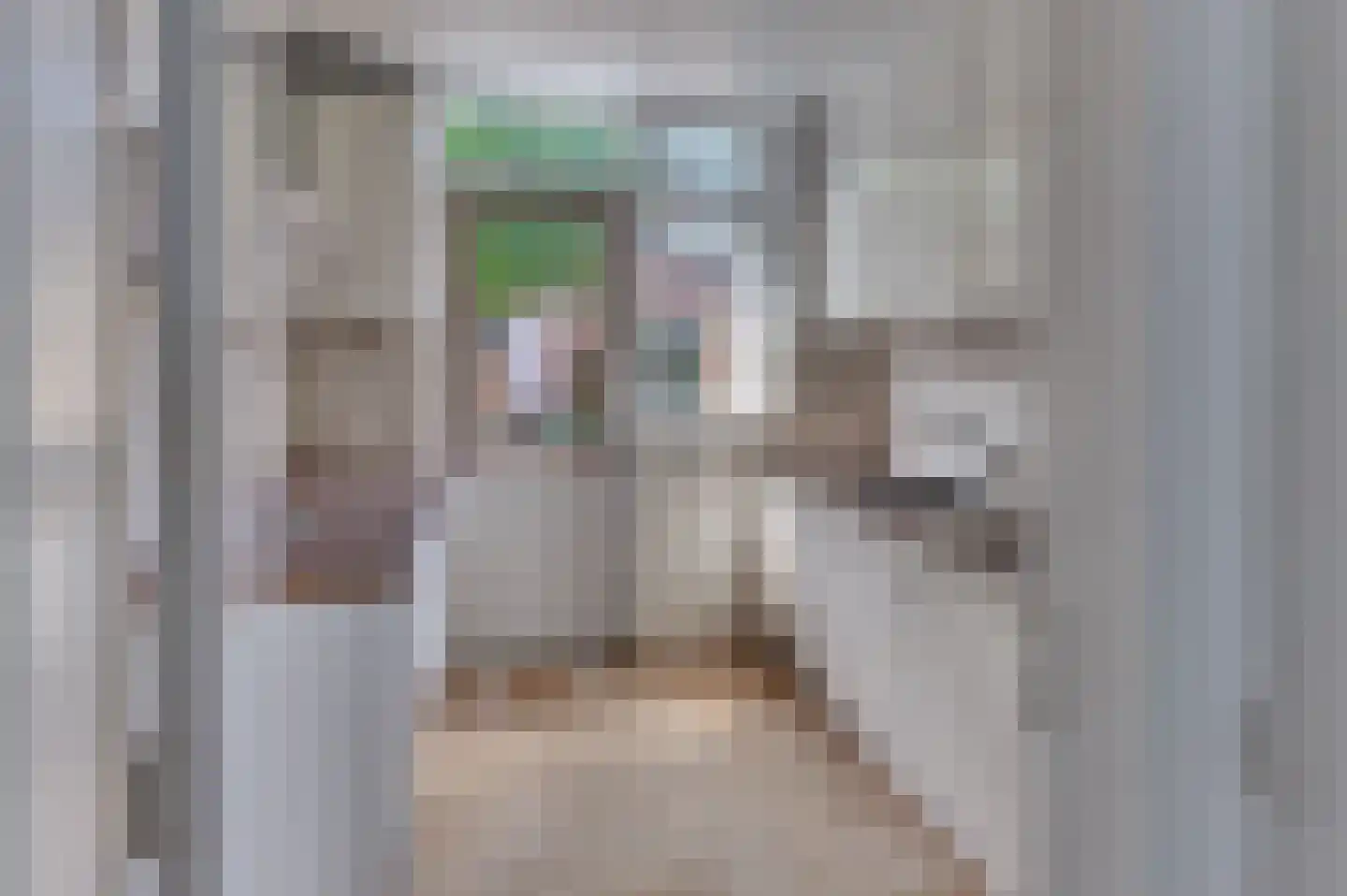 Ten Katestraat 14 Harderwijk thumbnail 14