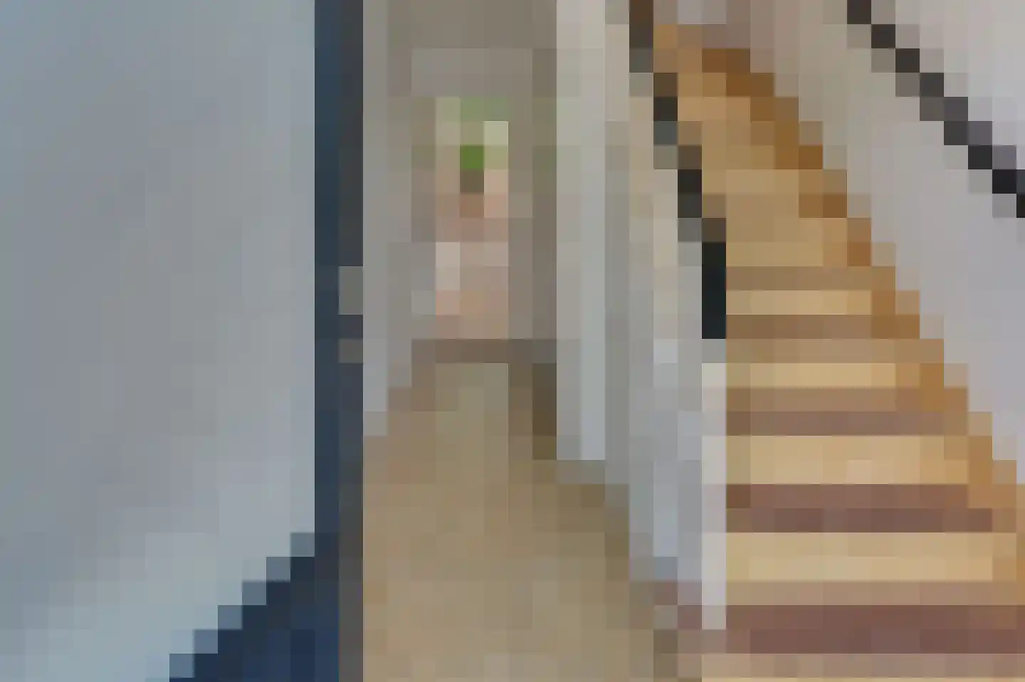Ten Katestraat 14 Harderwijk thumbnail 9