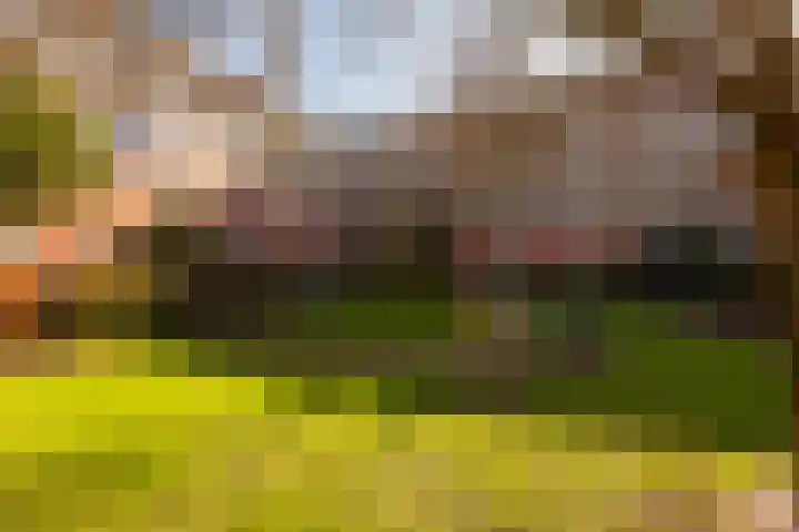 Ten Katestraat 204 Amsterdam thumbnail 25