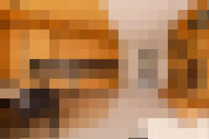 Ten Katestraat 204 Amsterdam thumbnail 7
