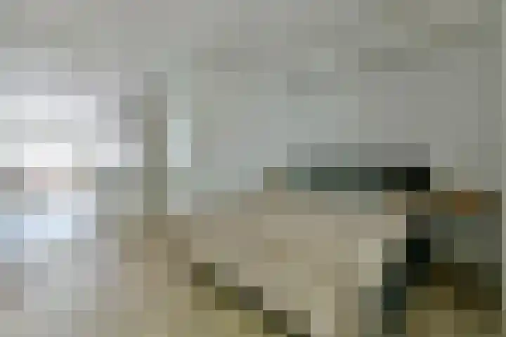 Ten Katestraat 22 2 Amsterdam thumbnail 11