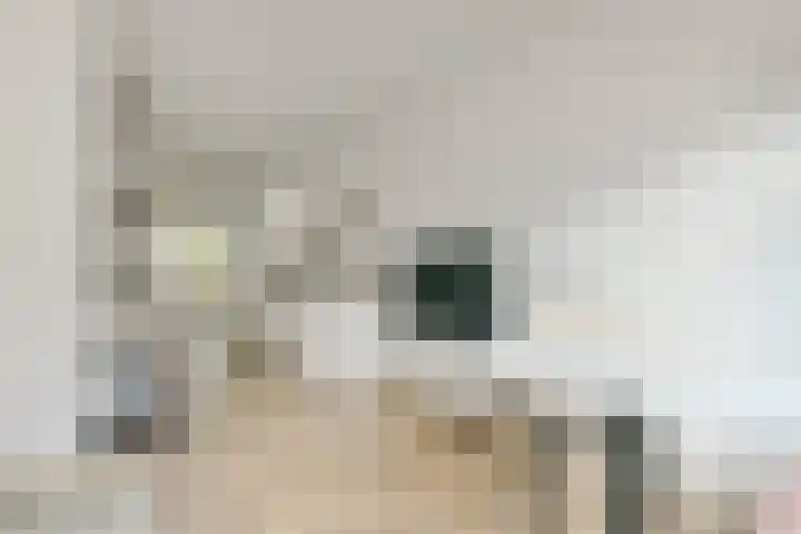 Ten Katestraat 22 2 Amsterdam thumbnail 7