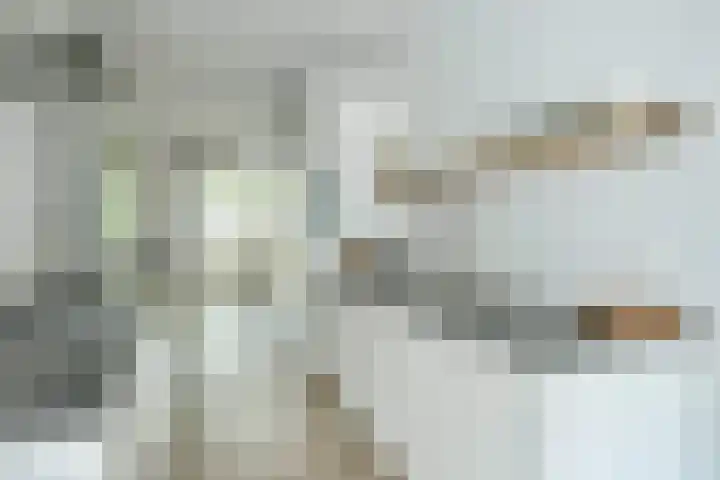 Ten Katestraat 22 2 Amsterdam thumbnail 9