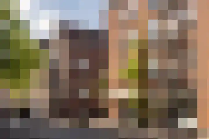 Ten Katestraat 28 1 Amsterdam thumbnail 24