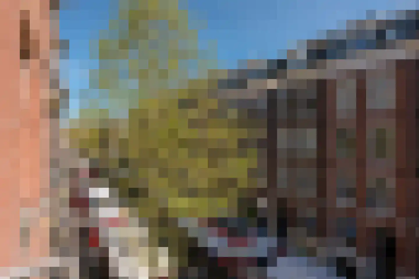 Ten Katestraat 32 2 Amsterdam thumbnail 23