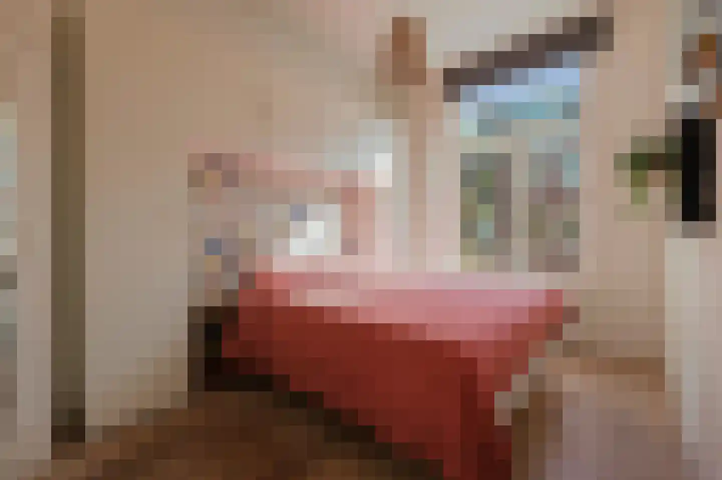 Ten Katestraat 32 3 Amsterdam thumbnail 17